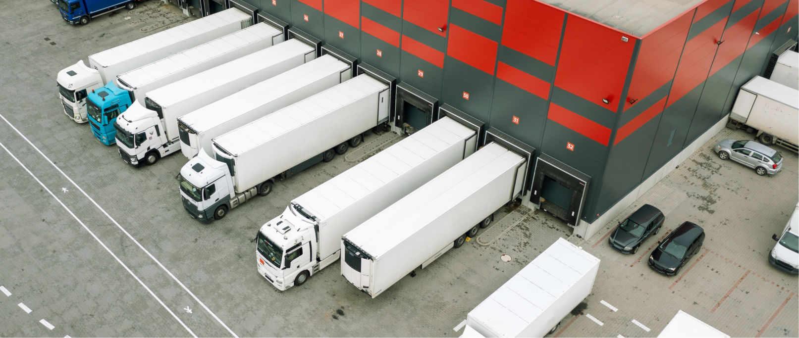 Choosing A 3Pl Provider In Uae