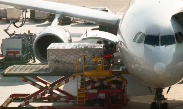 Global Shipping From Uae