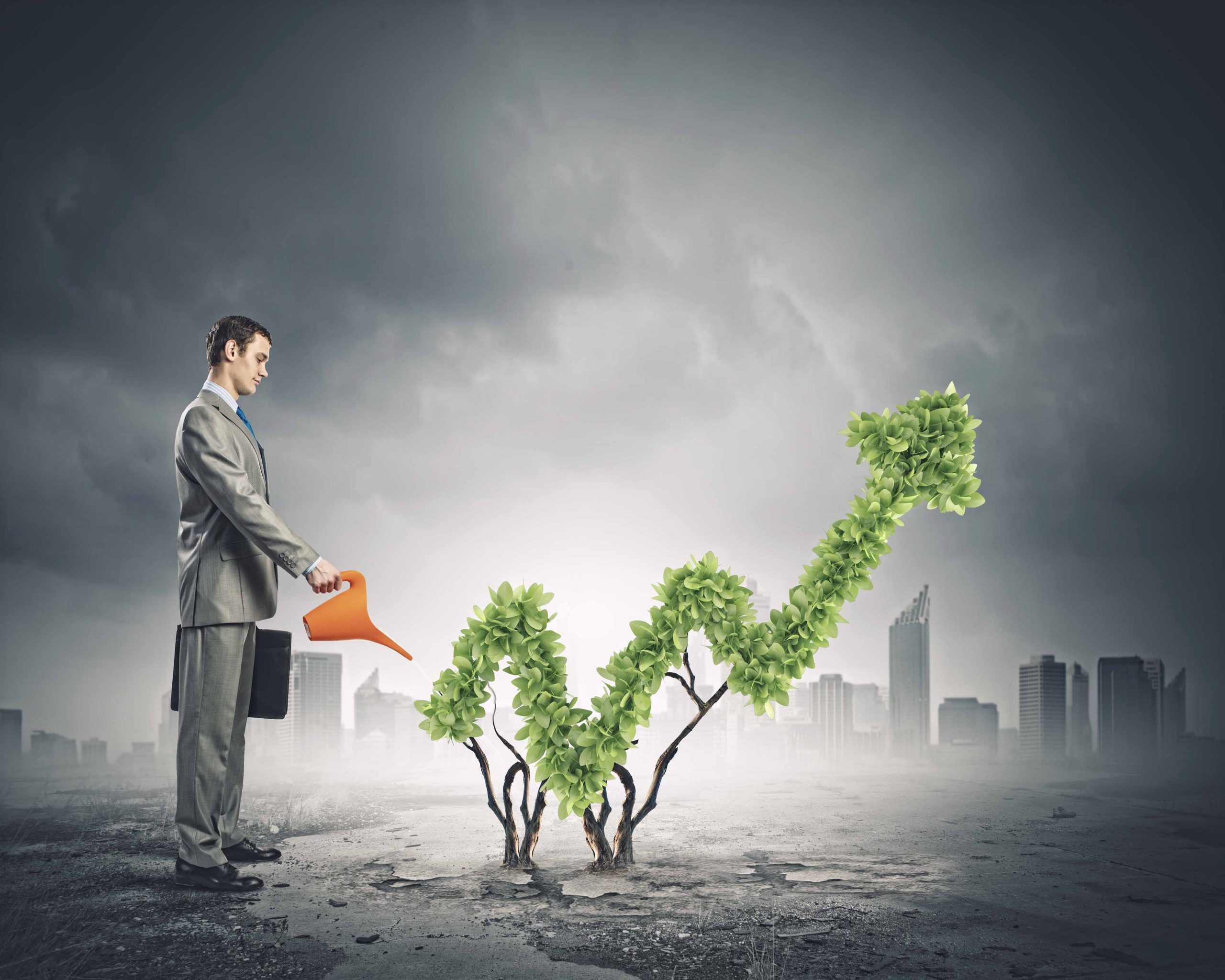 eCommerce Solutions
