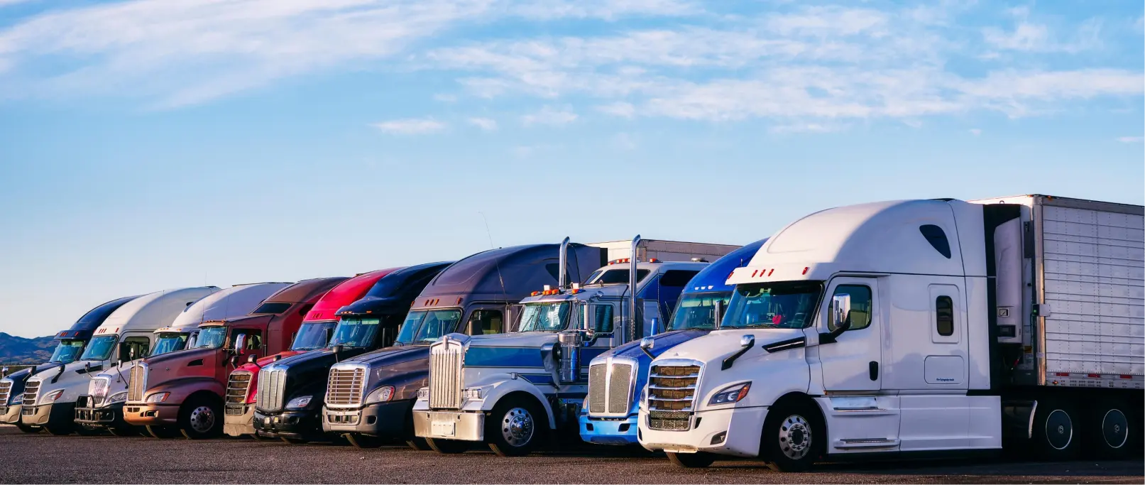 Infographics of Carrier Trucks types