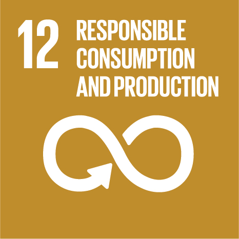 developmentGoals_img_12