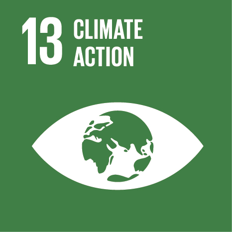 developmentGoals_img_13