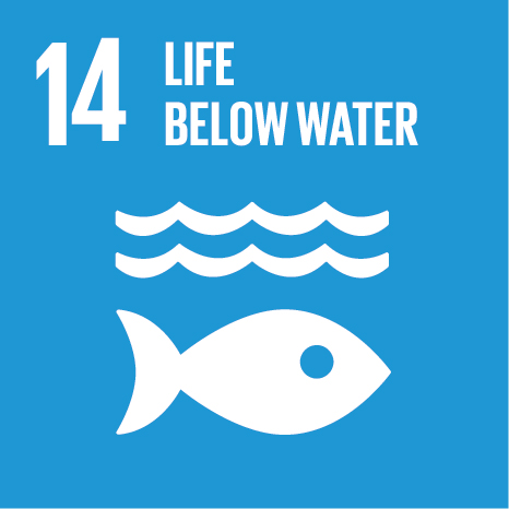 developmentGoals_img_14