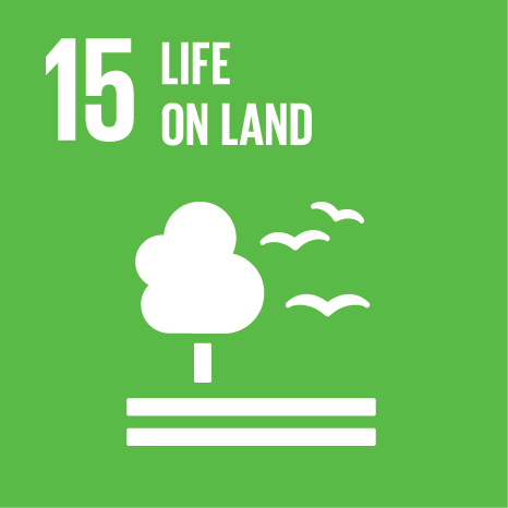 developmentGoals_img_15