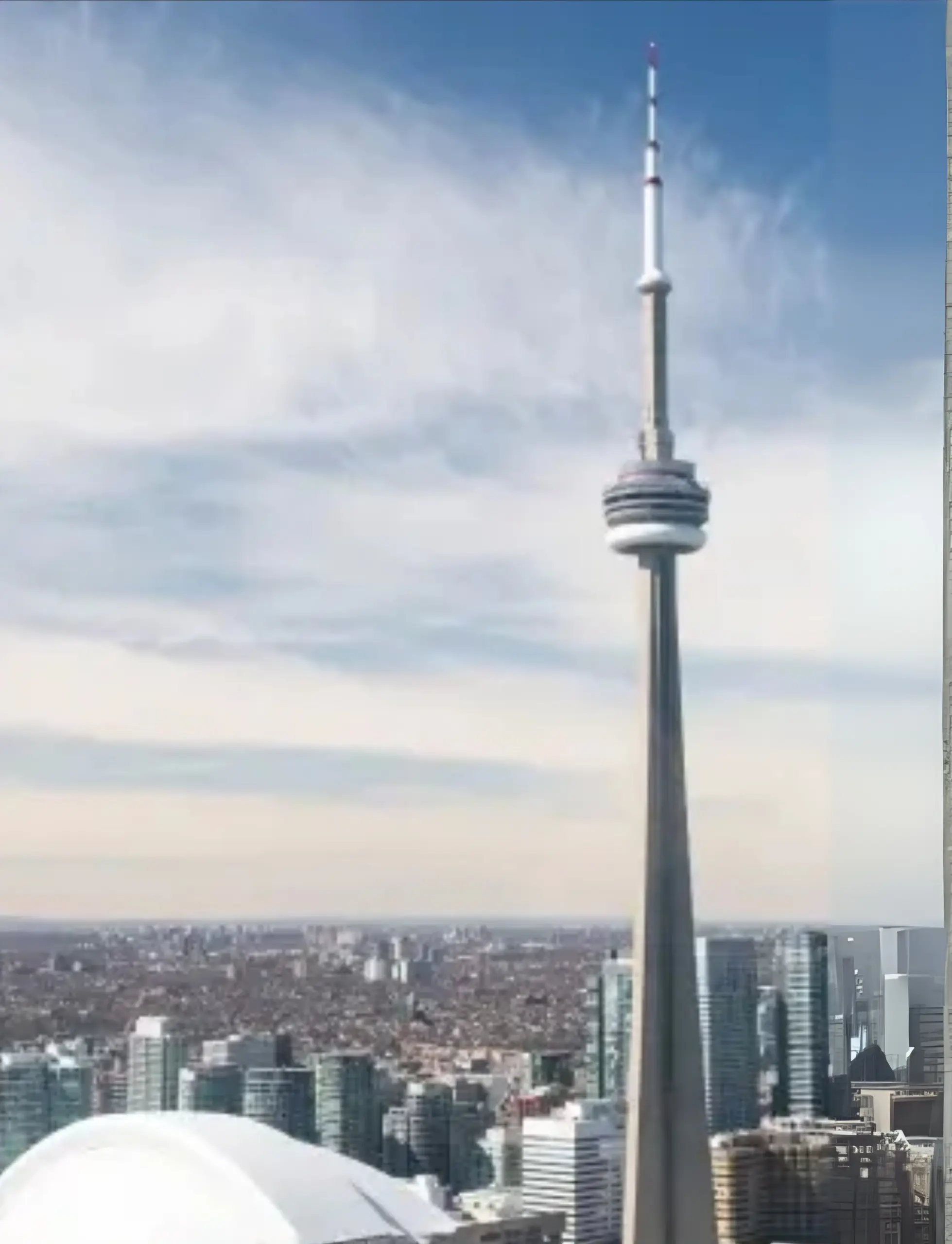 Toronto Delivery Services